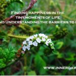 Inner Dawn Counselling-Barriers to Happiness